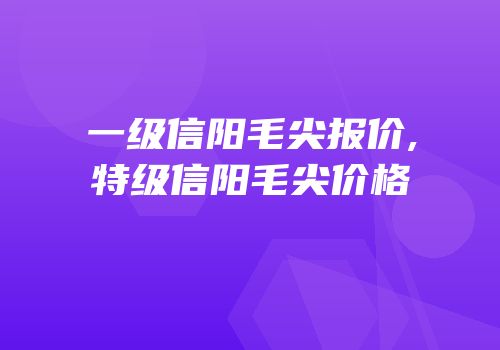 一级信阳毛尖报价,特级信阳毛尖价格