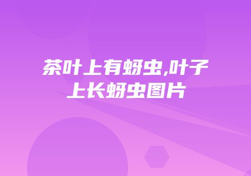 茶叶上有蚜虫,叶子上长蚜虫图片