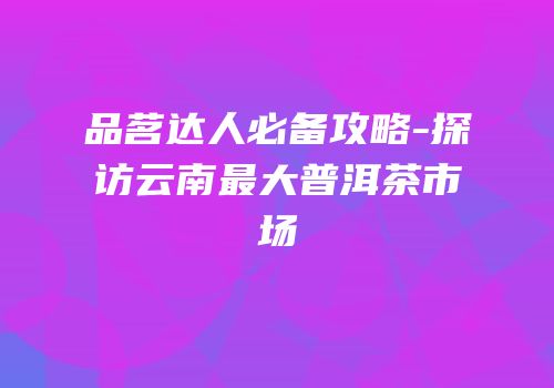 品茗达人必备攻略-探访云南最大普洱茶市场