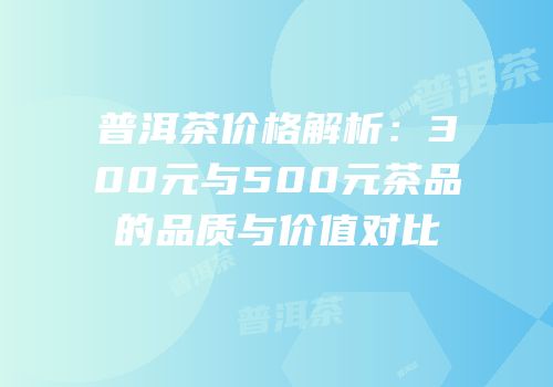 普洱茶价格解析：300元与500元茶品的品质与价值对比