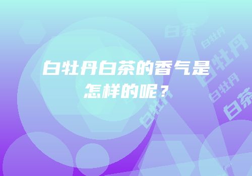 白牡丹白茶的香气是怎样的呢？
