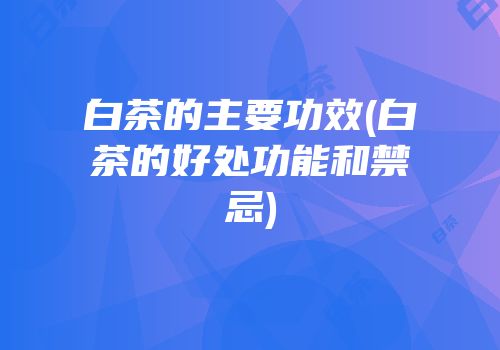 白茶的主要功效(白茶的好处功能和禁忌)