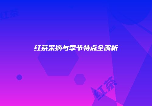 红茶采摘与季节特点全解析