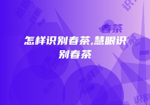 怎样识别春茶,慧眼识别春茶