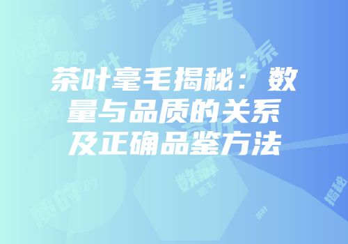 茶叶毫毛揭秘：数量与品质的关系及正确品鉴方法