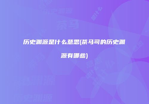 历史渊源是什么意思(茶马司的历史渊源有哪些)