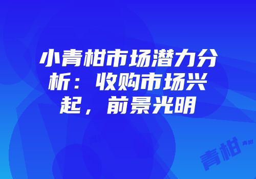 小青柑市场潜力分析：收购市场兴起，前景光明