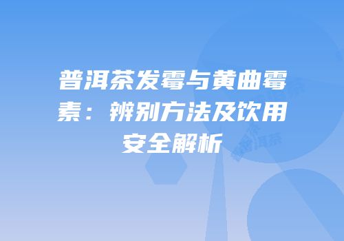 普洱茶发霉与黄曲霉素：辨别方法及饮用安全解析