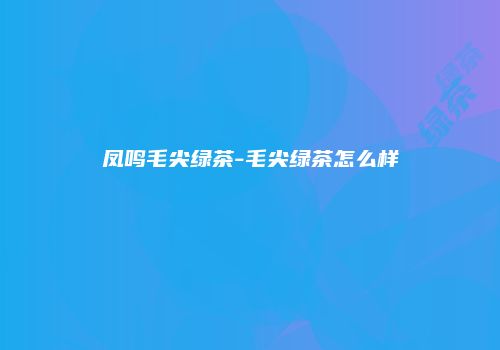 凤鸣毛尖绿茶-毛尖绿茶怎么样