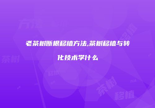 老茶树断根移植方法,茶树移植与转化技术学什么