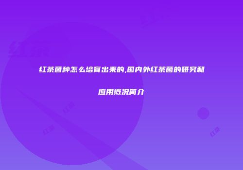 红茶菌种怎么培育出来的,国内外红茶菌的研究和应用概况简介