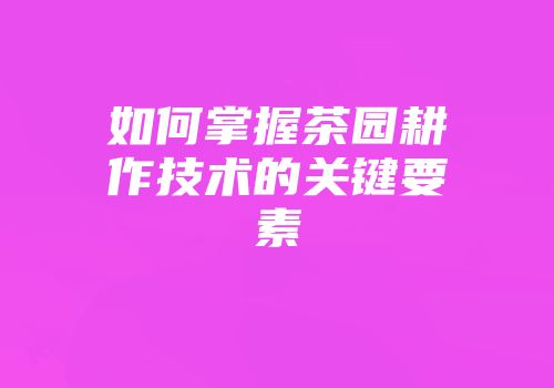 如何掌握茶园耕作技术的关键要素