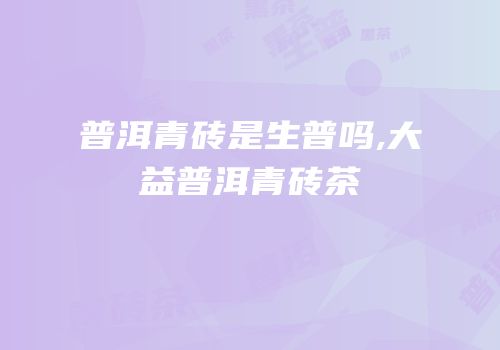 普洱青砖是生普吗,大益普洱青砖茶