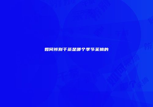 如何辨别干茶是哪个季节采摘的