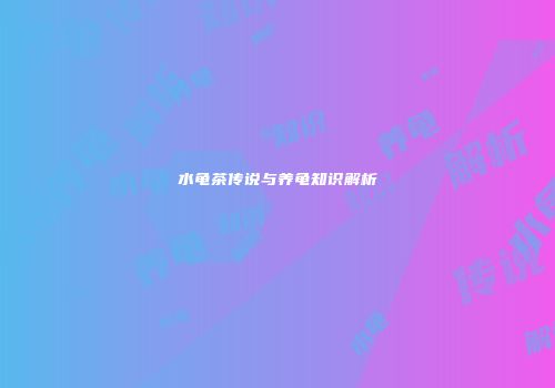 水龟茶传说与养龟知识解析