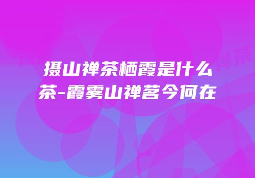摄山禅茶栖霞是什么茶-霞雾山禅茗今何在