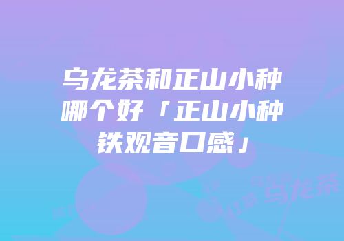 乌龙茶和正山小种哪个好「正山小种铁观音口感」