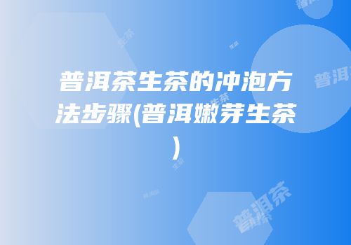 普洱茶生茶的冲泡方法步骤(普洱嫩芽生茶)