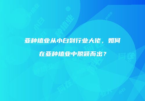 亚种植业从小白到行业大佬，如何在亚种植业中脱颖而出？