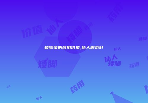 矮脚茶的药用价值,仙人脚茶叶