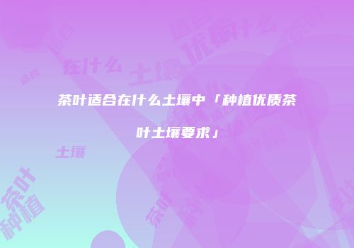 茶叶适合在什么土壤中「种植优质茶叶土壤要求」