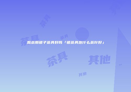 喝茶用银子茶具好吗「银茶具泡什么茶叶好」