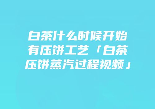白茶什么时候开始有压饼工艺「白茶压饼蒸汽过程视频」