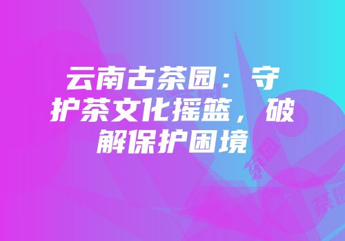 云南古茶园：守护茶文化摇篮，破解保护困境