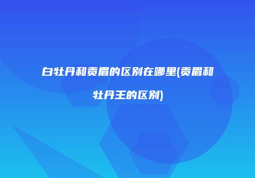 白牡丹和贡眉的区别在哪里(贡眉和牡丹王的区别)
