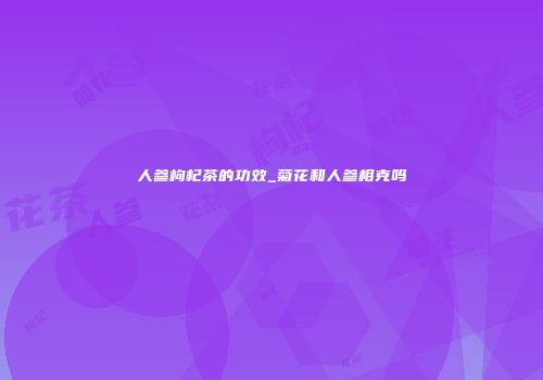 人参枸杞茶的功效_菊花和人参相克吗