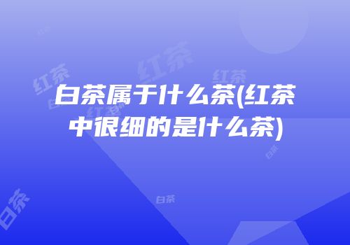 白茶属于什么茶(红茶中很细的是什么茶)