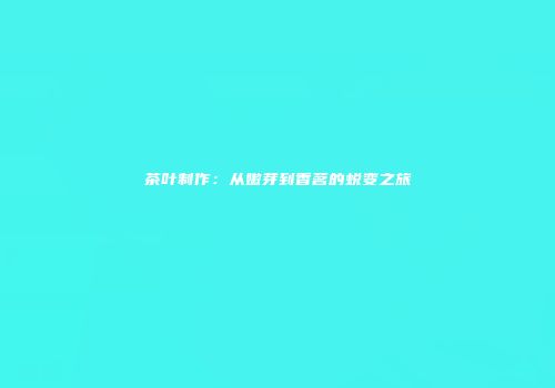 茶叶制作：从嫩芽到香茗的蜕变之旅