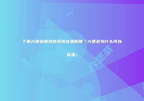 了解六堡茶的功效及其祛湿原理「六堡茶为什么可以祛湿」