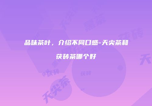 品味茶叶，介绍不同口感-天尖茶和茯砖茶哪个好