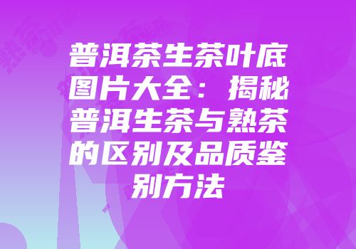 普洱茶生茶叶底图片大全：揭秘普洱生茶与熟茶的区别及品质鉴别方法