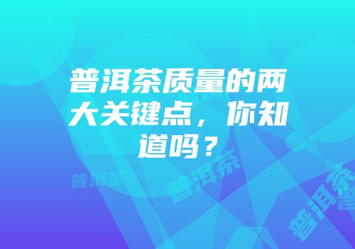 普洱茶质量的两大关键点，你知道吗？