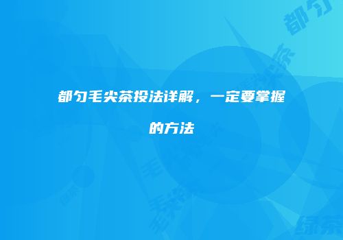 都匀毛尖茶投法详解，一定要掌握的方法