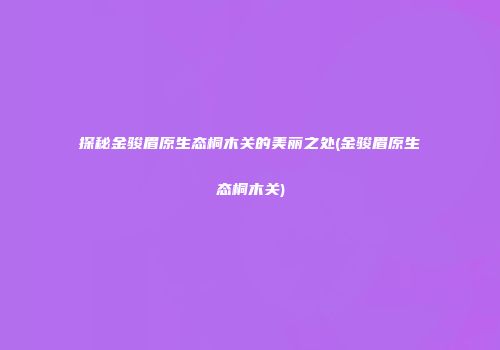 探秘金骏眉原生态桐木关的美丽之处(金骏眉原生态桐木关)