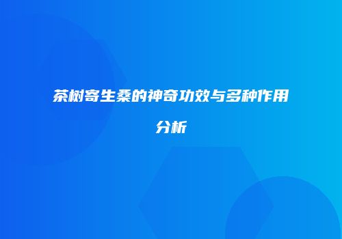 茶树寄生桑的神奇功效与多种作用分析