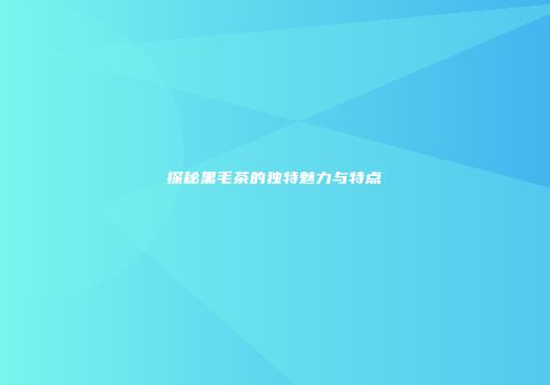 探秘黑毛茶的独特魅力与特点