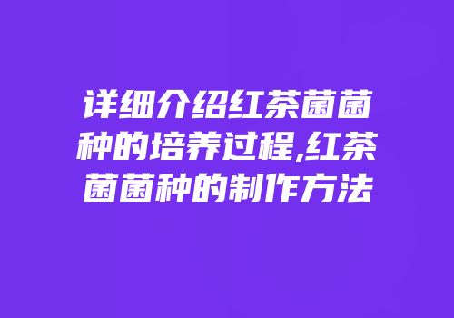 详细介绍红茶菌菌种的培养过程,红茶菌菌种的制作方法
