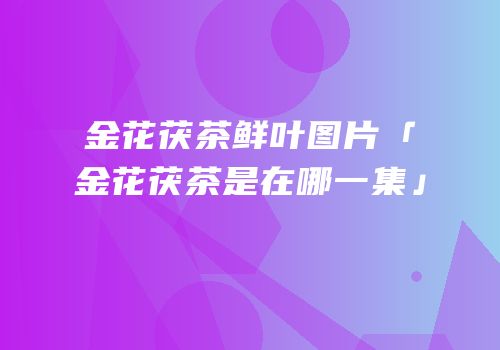 金花茯茶鲜叶图片「金花茯茶是在哪一集」
