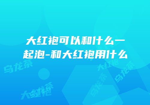 大红袍可以和什么一起泡-和大红袍用什么