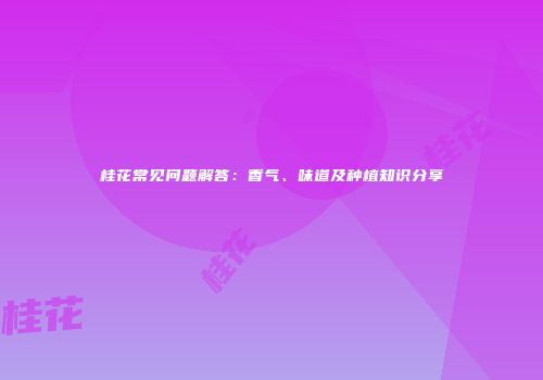桂花常见问题解答：香气、味道及种植知识分享