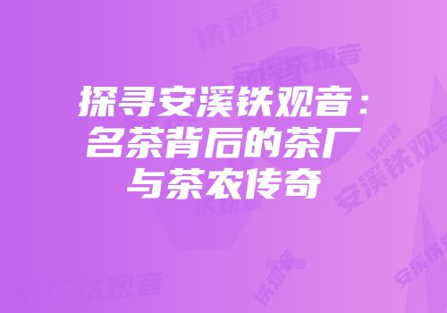 探寻安溪铁观音：名茶背后的茶厂与茶农传奇