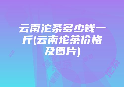 云南沱茶多少钱一斤(云南坨茶价格及图片)