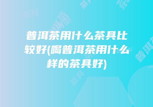 普洱茶用什么茶具比较好(喝普洱茶用什么样的茶具好)