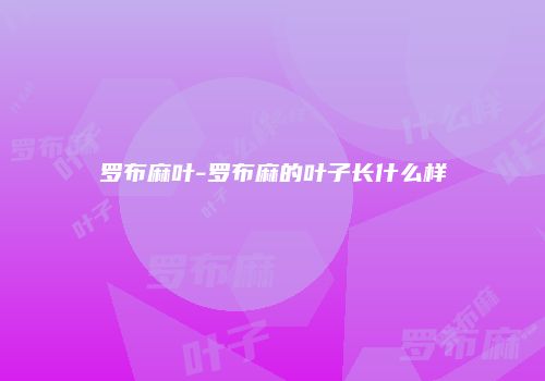 罗布麻叶-罗布麻的叶子长什么样