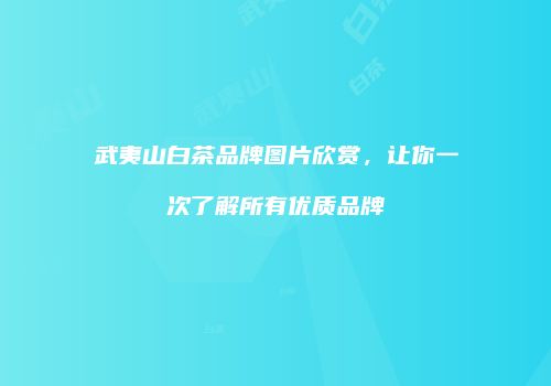 武夷山白茶品牌图片欣赏，让你一次了解所有优质品牌