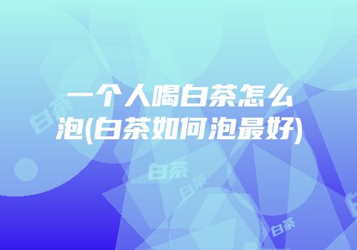 一个人喝白茶怎么泡(白茶如何泡最好)